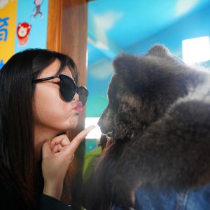 春游之際，臨泉魔幻動物園與您有個約“惠”