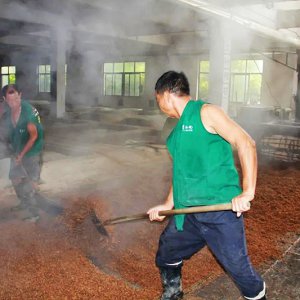 喚醒兩千余條窖池，新的釀酒季由此開始