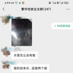 太惡心！小區(qū)自來水中驚現(xiàn)“活物”