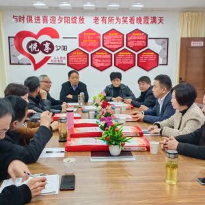 鹿城鎮(zhèn)老年協(xié)會(huì)學(xué)習(xí)宣傳貫徹黨的二十大精神，結(jié)合實(shí)際做好自身工作討論會(huì)召開