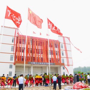 安徽胡王府：預(yù)制菜產(chǎn)業(yè)新生力量，助推鄉(xiāng)村振興