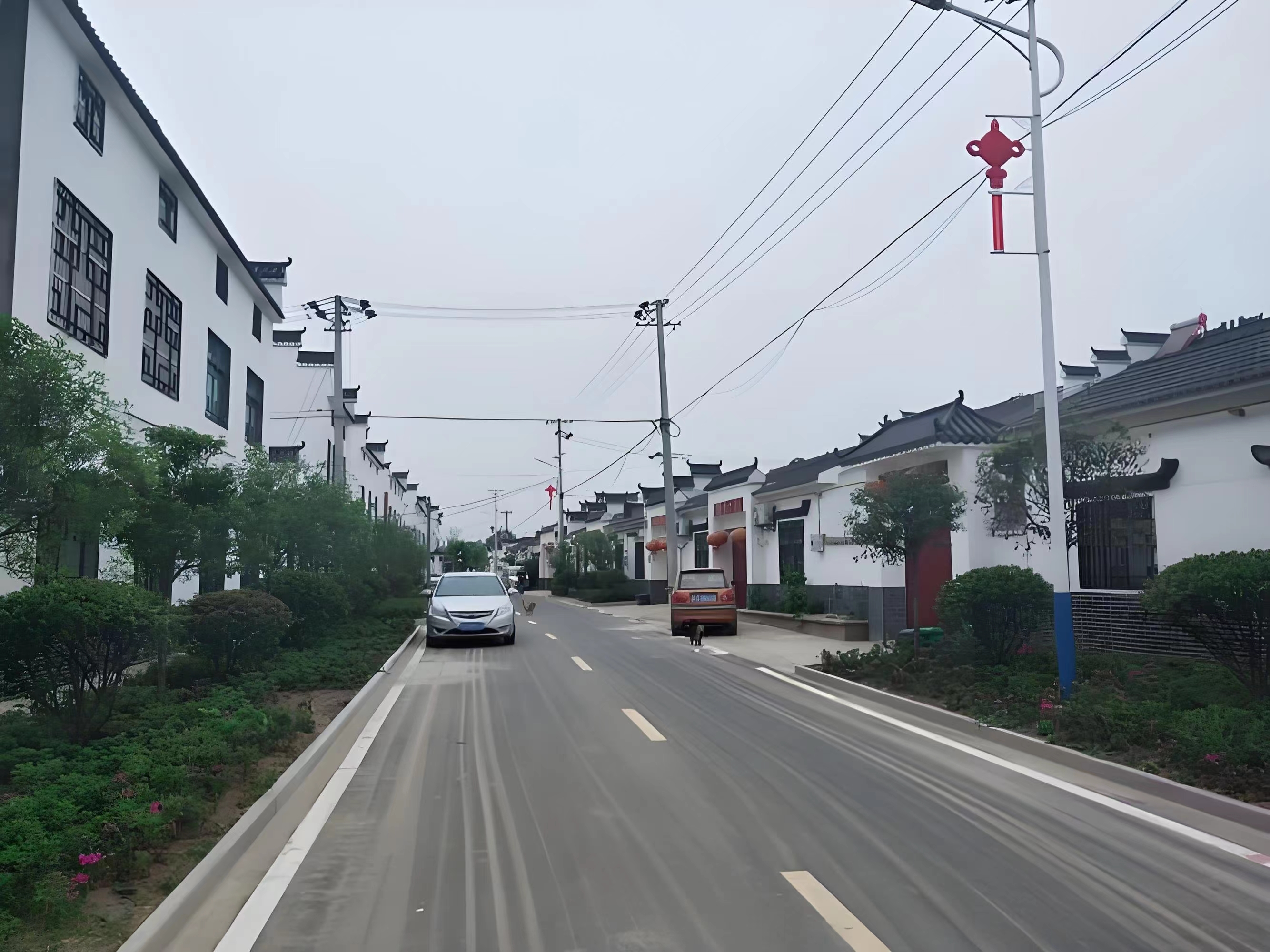 傳承紅色基因，續(xù)寫潁上黃壩發(fā)展新篇章